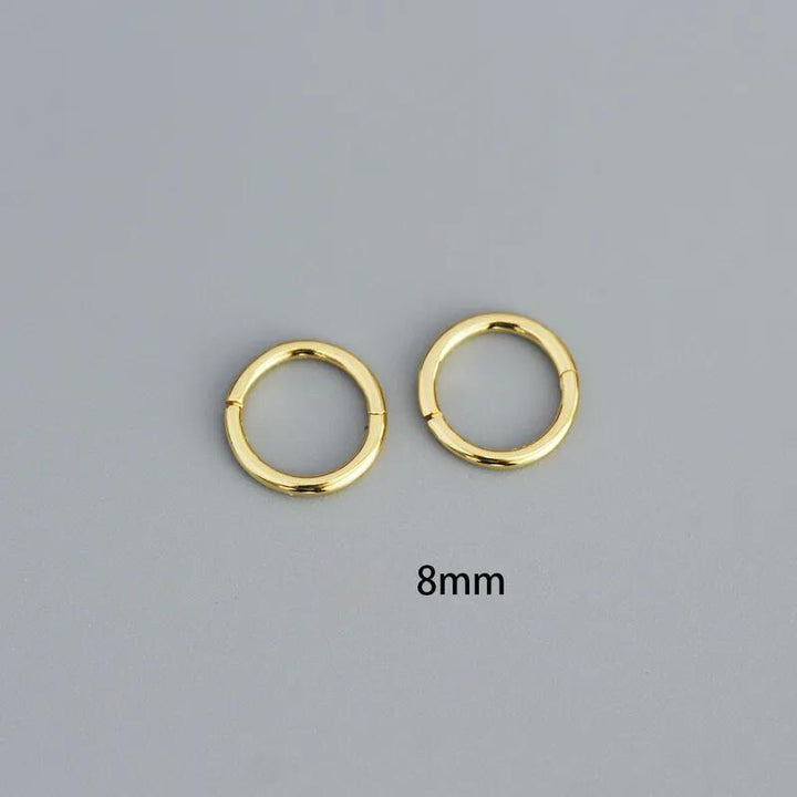 Round Seamless Segment Ring (8mm)